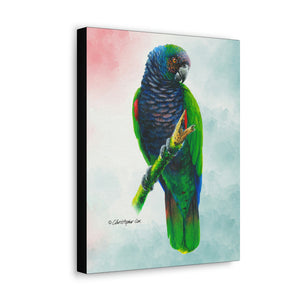 Canvas Wall Art, Imperial Parrot, Parrot Art, Tropical Bird Art, St Lucian Art
