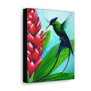 Canvas Wall Art, Western Streamertail and Ginger Lily, Tropical Bird Art