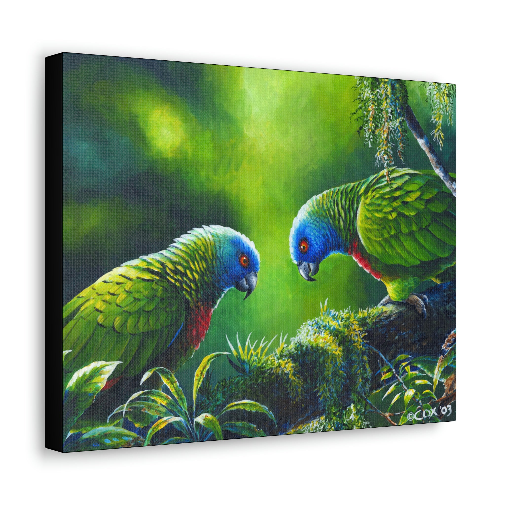 Canvas Wall Art, St Lucia Parrots, Parrot Art, Love Birds Tropical Birds, St Lucian Art