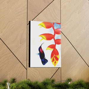 Canvas Wall Art, Purple-throated Carib and Lobster Claw Heliconia, Hummingbird Art, Tropical Bird Art