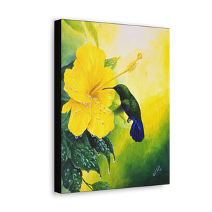 Canvas Wall Art, Green-throated Carib & Yellow Hibiscus, Tropical Bird Art, Hummingbird Art