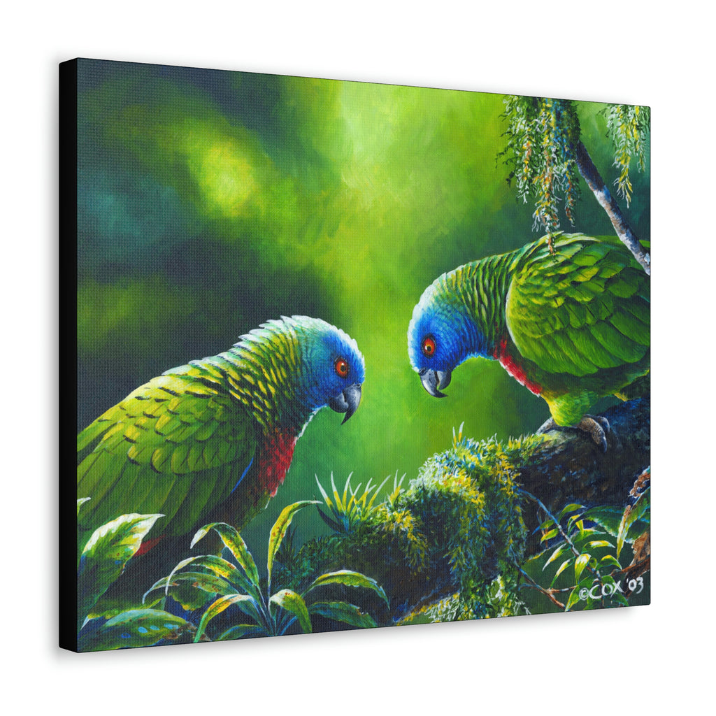 Canvas Wall Art, St Lucia Parrots, Parrot Art, Love Birds Tropical Birds, St Lucian Art