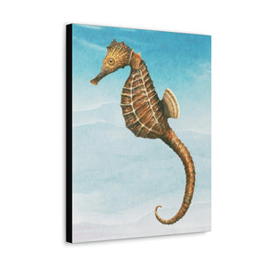 Canvas Wall Art, Seahorse Art, Sea Life Art, Sea Creatures, Caribbean Art