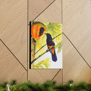 Canvas Wall Art, St Lucia Oriole & Papaya, Tropical Bird Art, Caribbean Art, St Lucian Art