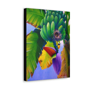 Canvas Wall Art, Bananaquit in Banana Tree, Tropical Bird Art, Caribbean Art, St Lucian Art