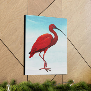 Canvas Wall Art, Scarlet Ibis, Bird Art, Wildlife Art, Tropical Birds, Caribbean Art