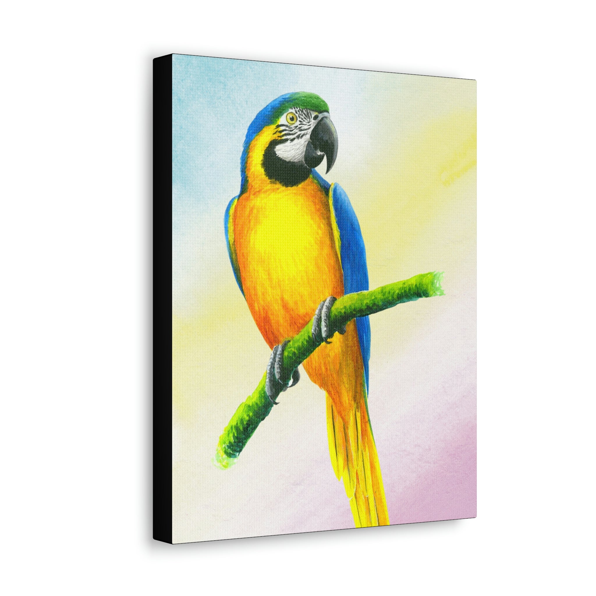Canvas Wall Art, Blue and Gold Macaw, Parrots, Tropical Birds, Caribbean Art