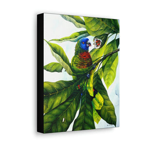 Canvas Wall Art, Saint Lucia Parrot & Bwapen Mawon, Parrot Art, Tropical Bird Art