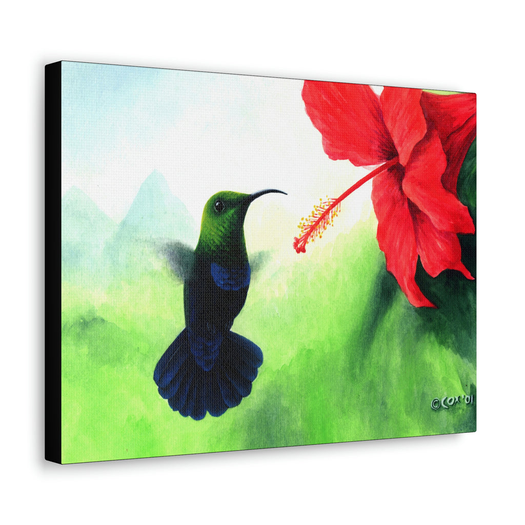 Canvas Wall Art, Green-throated Carib & Red Hibiscus, Hummingbird Art, Tropical Bird Art