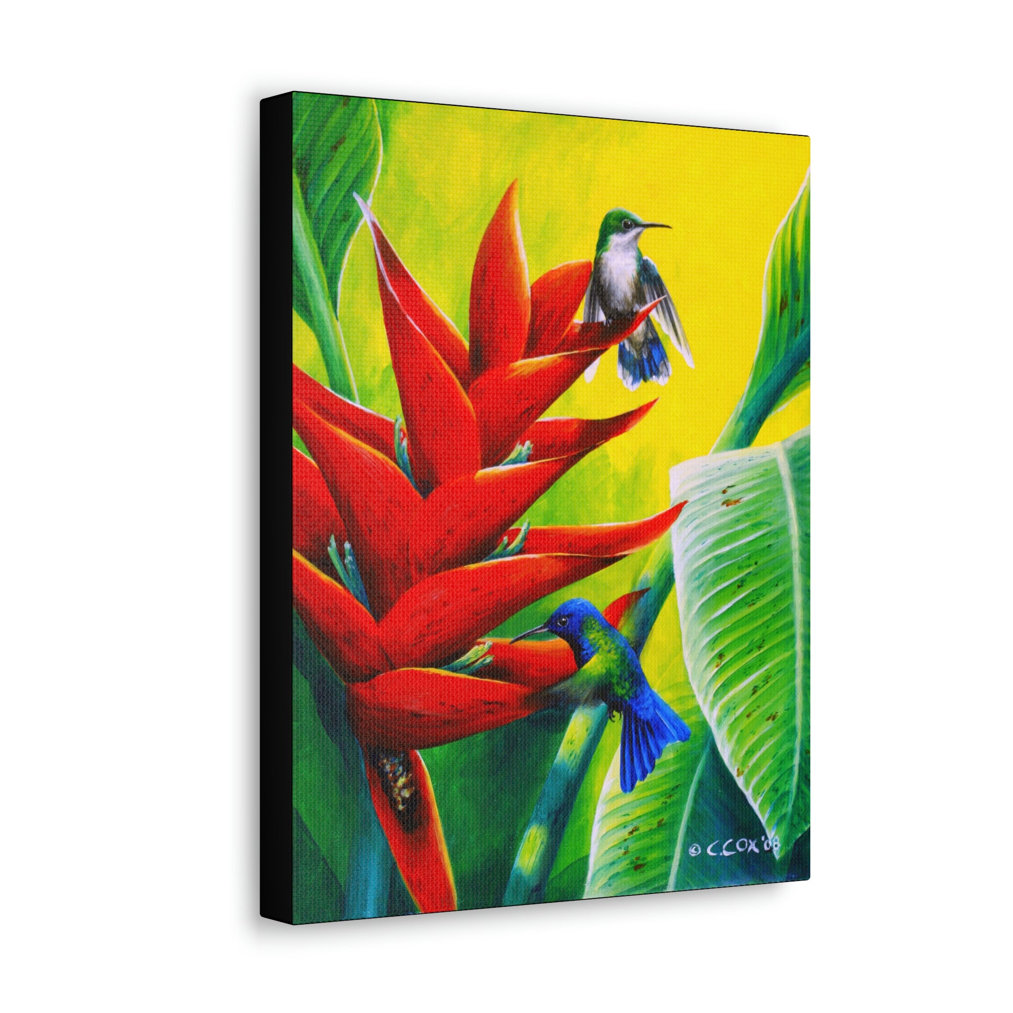 Canvas Wall Art, Blue-headed Hummingbirds & Heliconia, Hummingbird Art