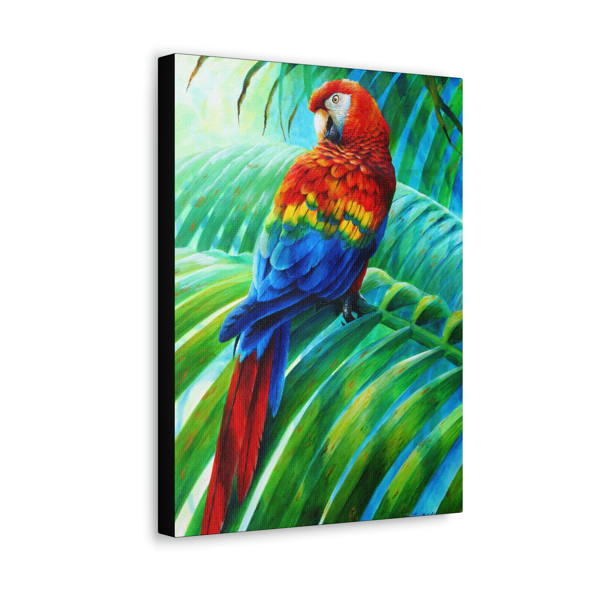 Canvas Wall Art, Scarlet Macaw, Parrots, Tropical Birds, Caribbean Art