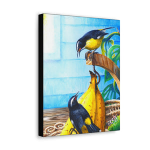 Canvas Wall Art, Bananaquits & Bananas, Tropical Bird Art, Caribbean Art, St Lucian Art