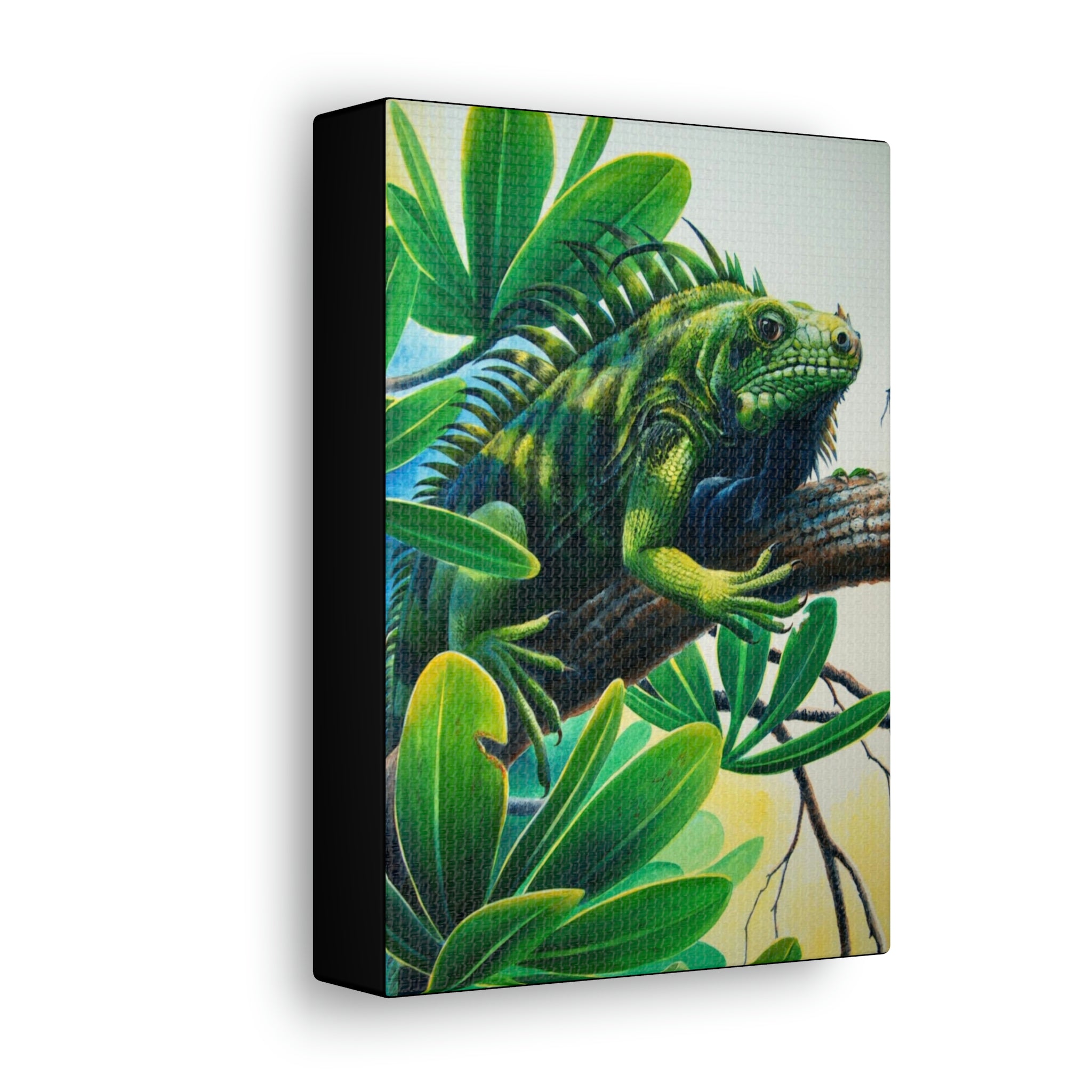 Canvas Wall Art, St Lucia Iguana, Reptile Art, Tropical Art, Caribbean Art, St Lucian Art