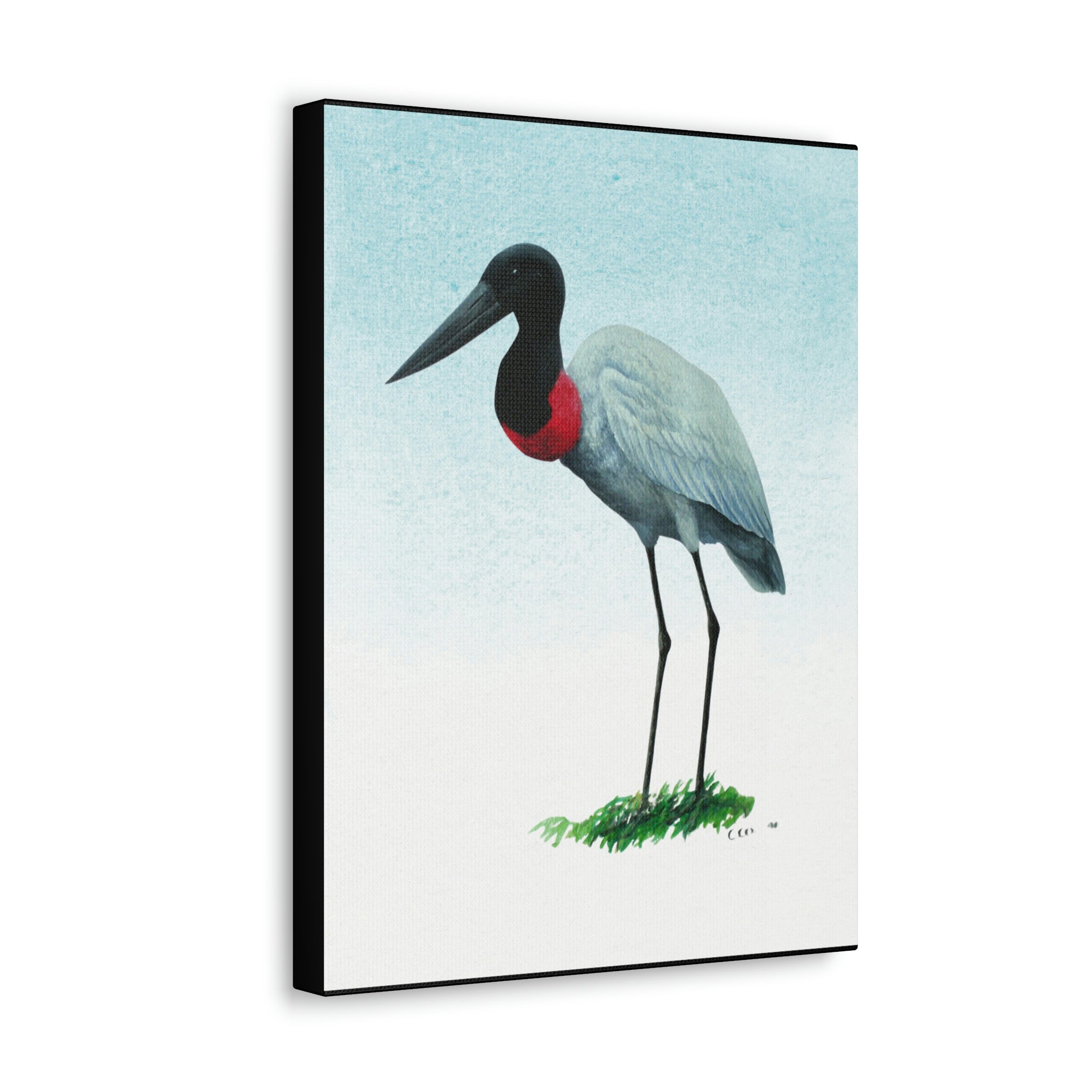 Canvas Wall Art, Jabiru, Bird Art, Wildlife Art, Tropical Birds, Caribbean Art