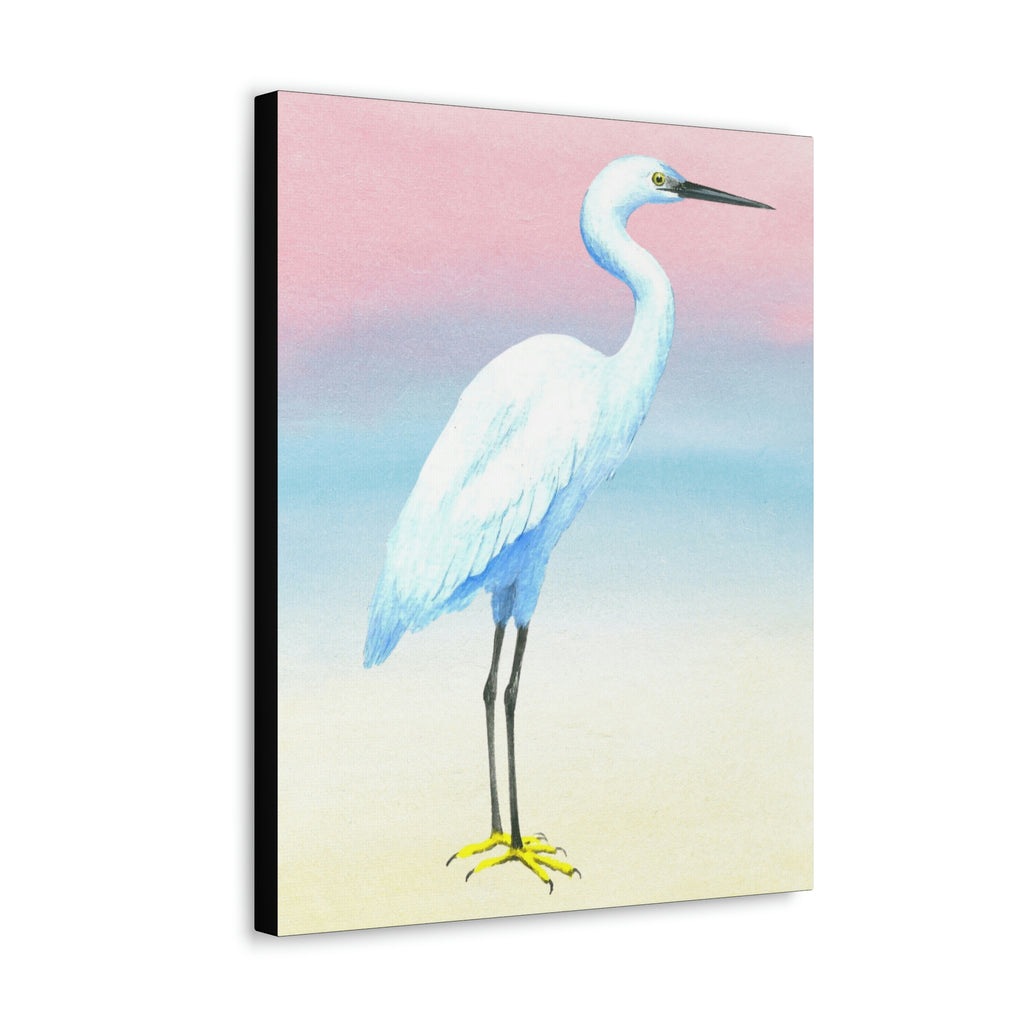 Canvas Wall Art, Little Egret, Bird Art, Wildlife Art, Tropical Birds, Caribbean Art
