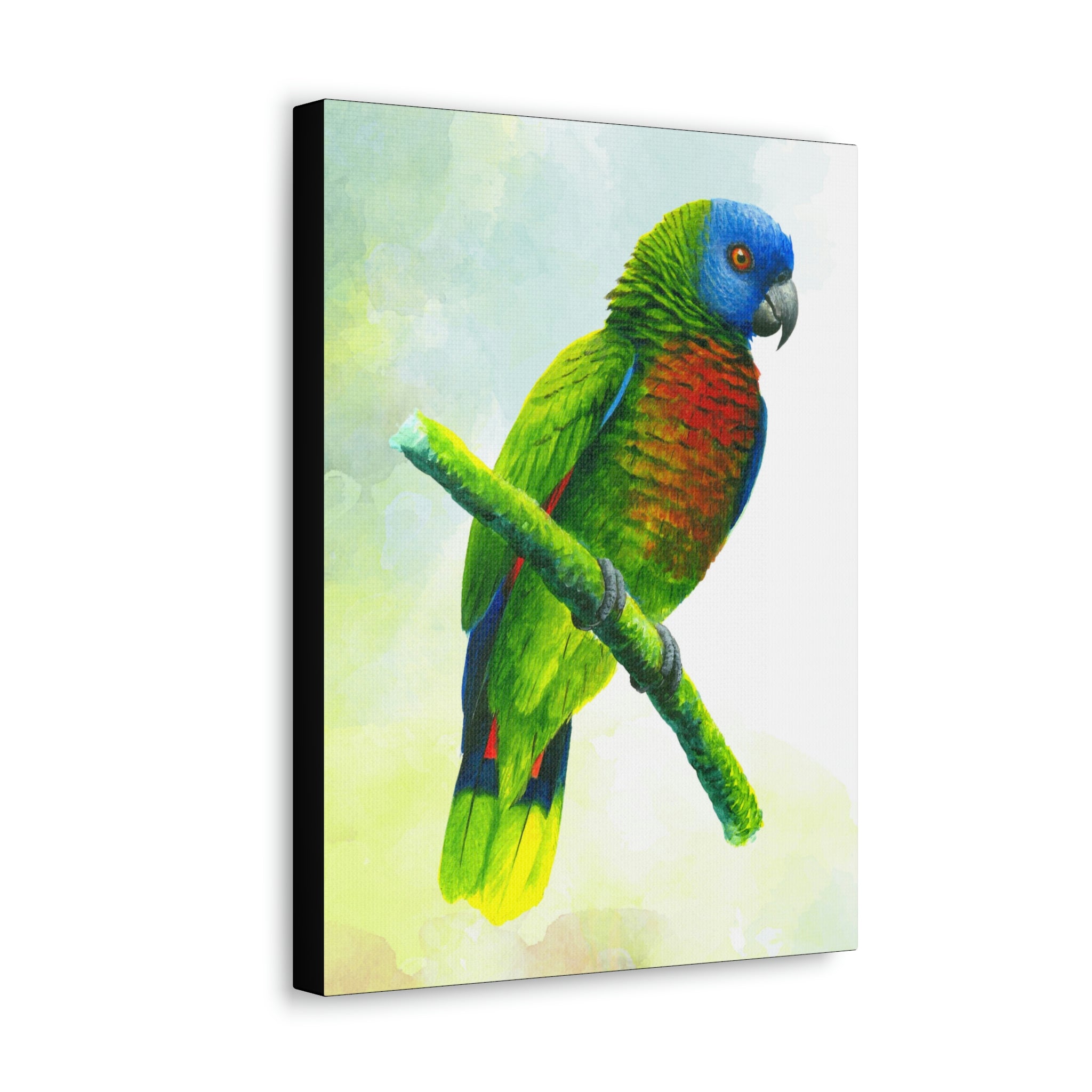 Canvas Wall Art, St Lucia Parrot, Parrot Art, Tropical Bird Art, St Lucian Art, Caribbean Art