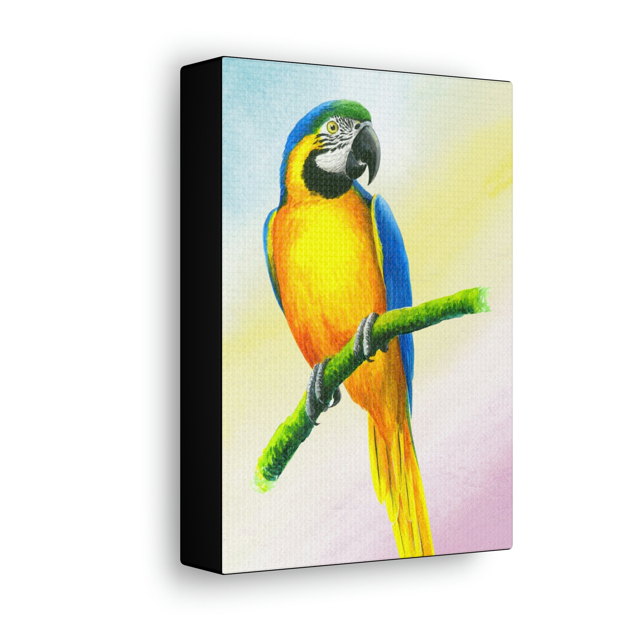 Canvas Wall Art, Blue and Gold Macaw, Parrots, Tropical Birds, Caribbean Art