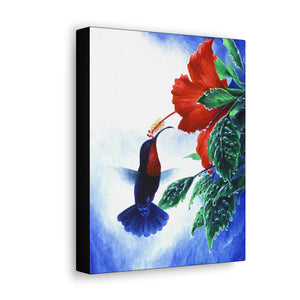 Canvas Wall Art, Purple-throated Carib & Red Hibiscus, Hummingbird Art, Tropical Bird Art