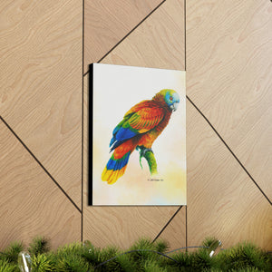 Canvas Wall Art, St Vincent Parrot, Parrot Art, Tropical Bird Art, Wildlife Art