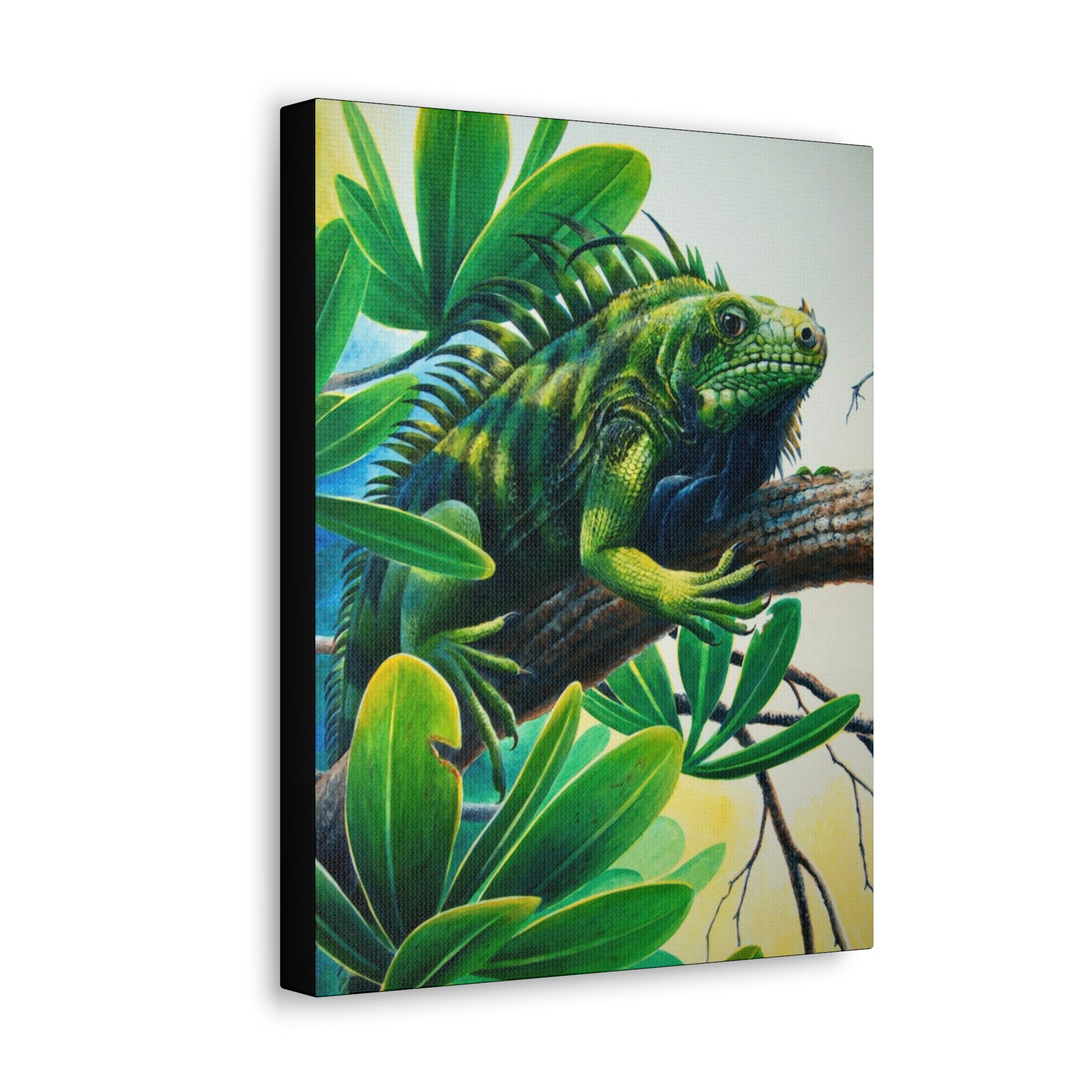 Canvas Wall Art, St Lucia Iguana, Reptile Art, Tropical Art, Caribbean Art, St Lucian Art