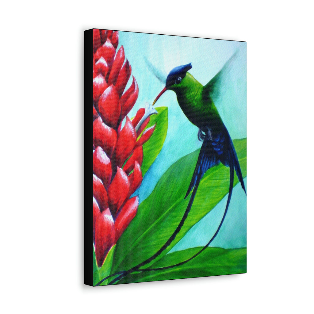 Canvas Wall Art, Western Streamertail and Ginger Lily, Tropical Bird Art