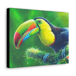 Canvas Wall Art, Keel-Billed Toucan, Tropical Birds, Panama Bird Art, Wildlife Art