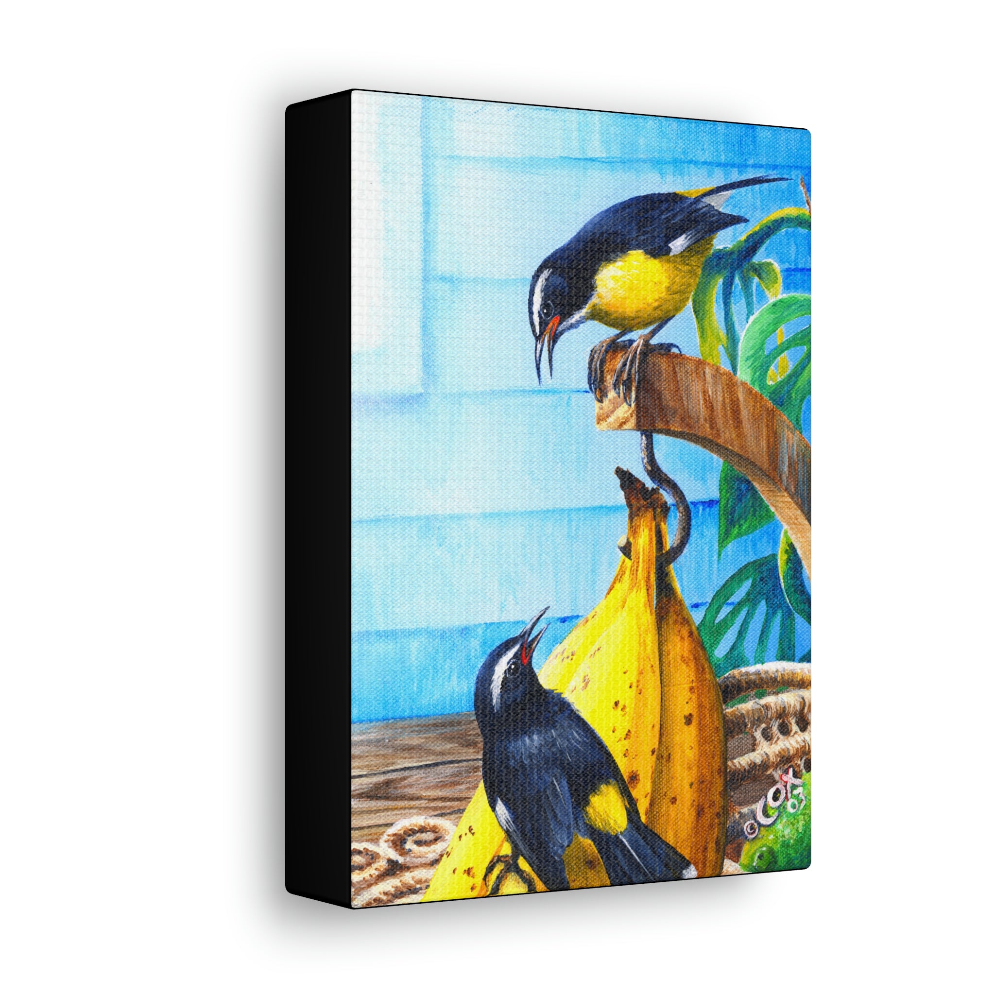 Canvas Wall Art, Bananaquits & Bananas, Tropical Bird Art, Caribbean Art, St Lucian Art
