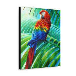 Canvas Wall Art, Scarlet Macaw, Parrots, Tropical Birds, Caribbean Art