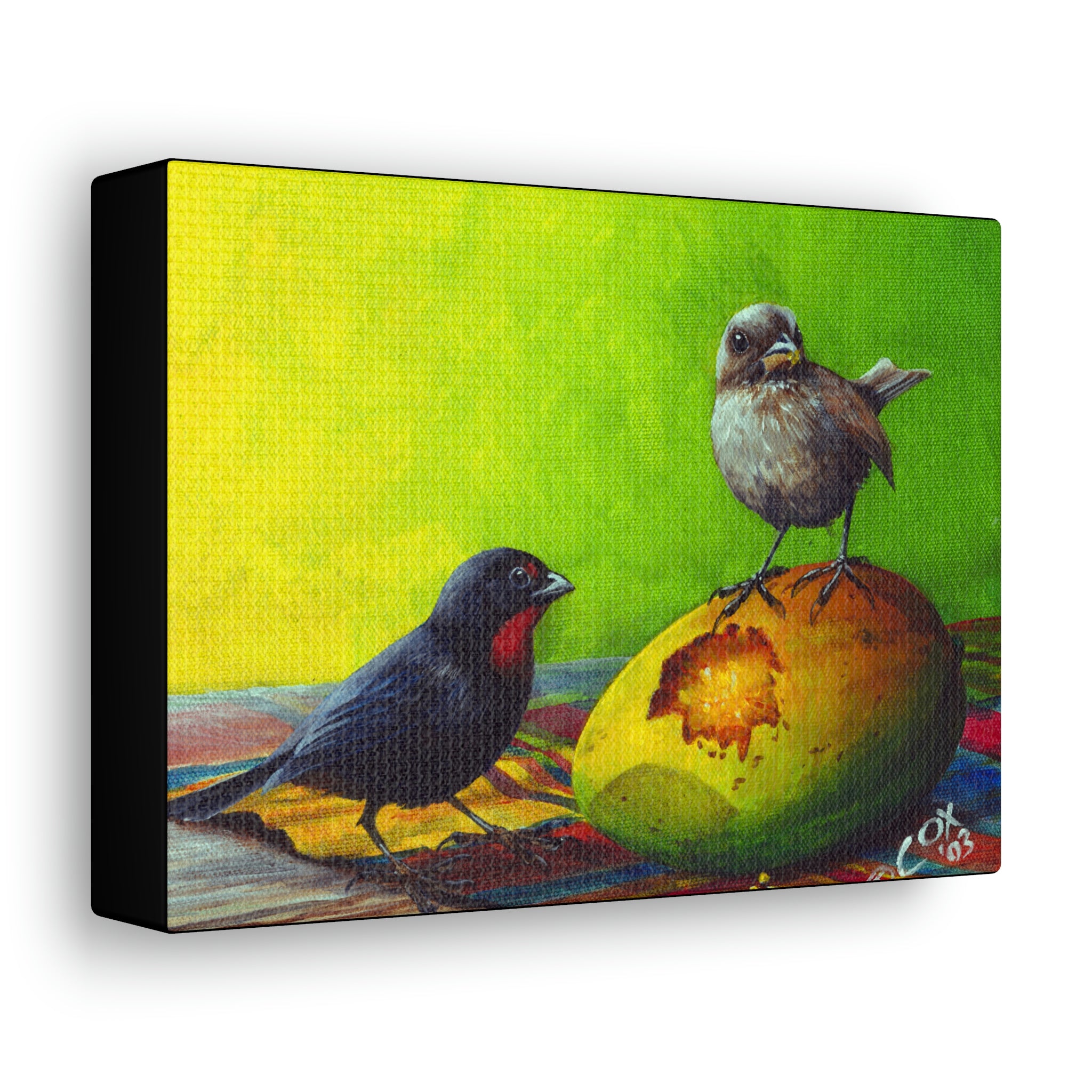 Canvas Wall Art, Lesser Antillean Bullfinches and Mango, Tropical Birds, Caribbean Art